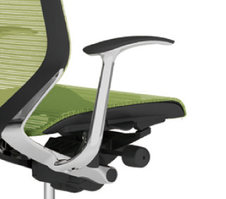 バロン | 固定肘